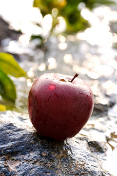 石头上放着一个花牛苹果