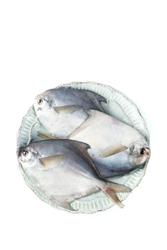 一盘银鲳鱼摆放在白底上