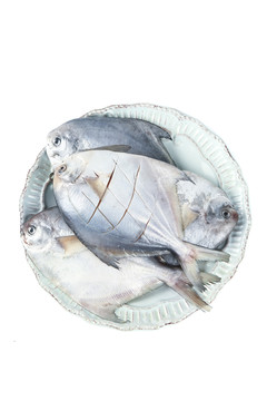 一盘银鲳鱼摆放在白底上
