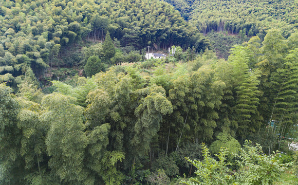 皖南大山里的小村直坑