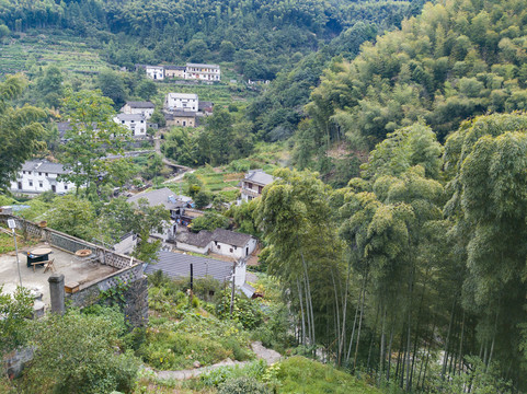 皖南大山里的小村直坑