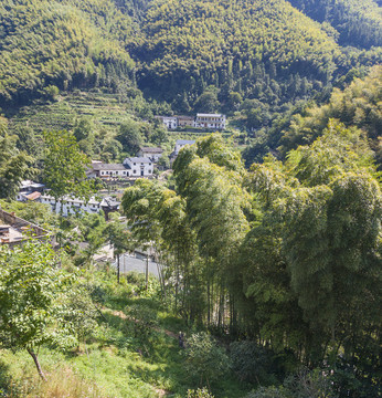 皖南大山里的小村直坑