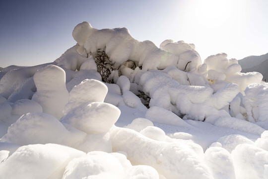 雪景