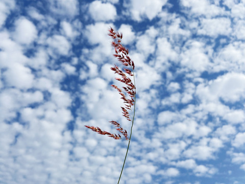 天空