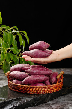 手上放着新鲜紫薯