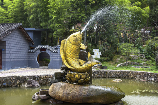 鲤鱼吐水