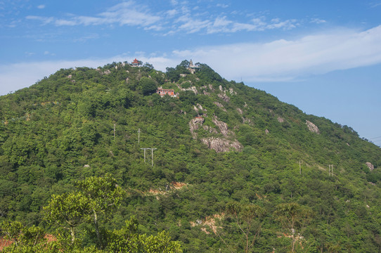 大山紫帽山