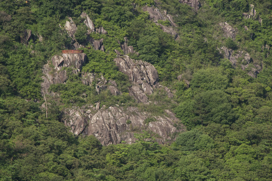 峭壁山林植被岩石层