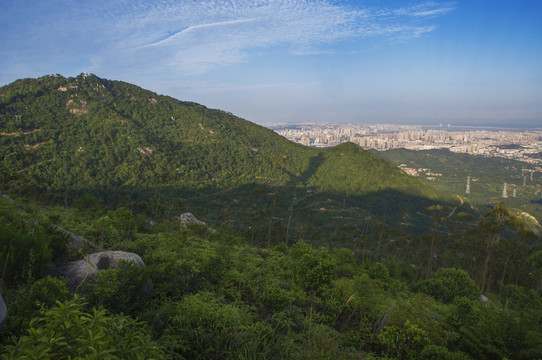 紫帽山山坡地形