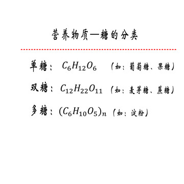 营养物质糖的分类