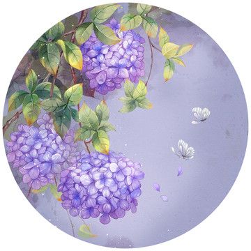 紫色绣球插画