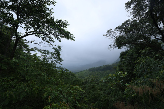 海南黎母山山峰