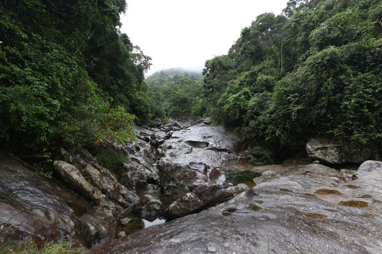 海南黎母山河沟