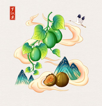 中草药罗汉果插画手绘