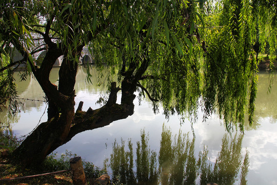 贵阳花溪湿地