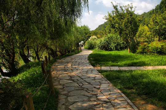 贵阳花溪湿地