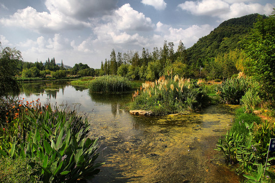 贵阳花溪湿地