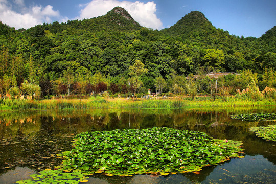 贵阳花溪湿地