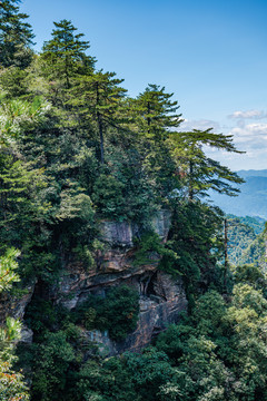 武陵源石英砂岩峰林