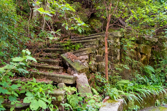 荒废的山路