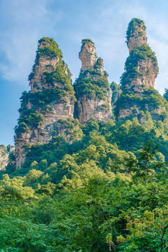 湖南武陵源自然风景区十里画廊