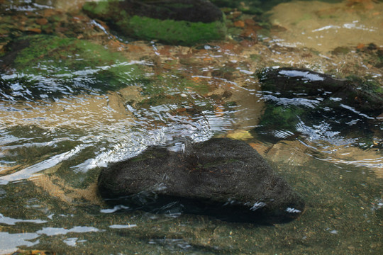 清澈河流溪水鹅卵石