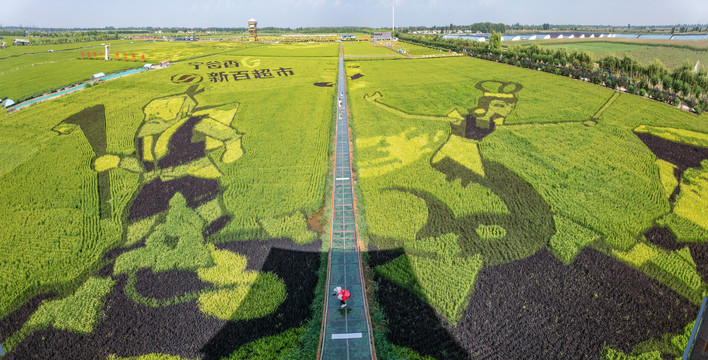 贺兰县稻渔空间