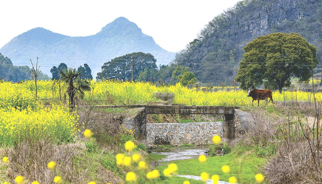 小桥流水田南村