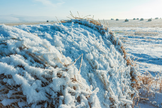 冬季草原草捆子积雪