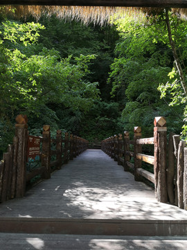 山间木桥