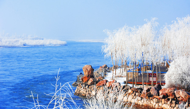 伊犁河冬景