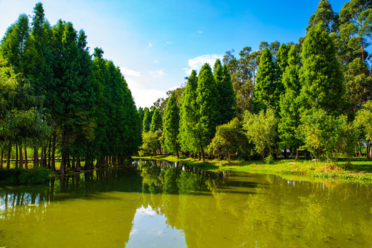 昆明东大河湿地