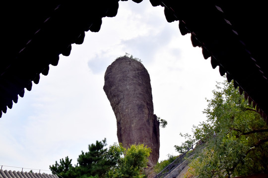 仰望棒槌山