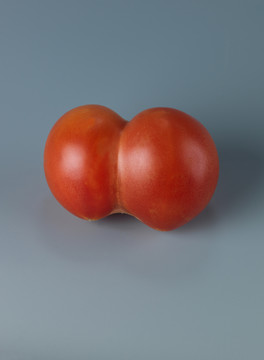 双胞胎西红柿