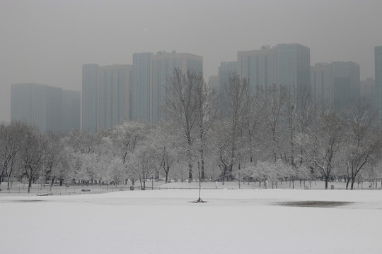 北京雪5