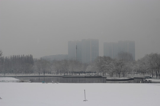 北京雪7