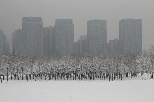 北京雪9