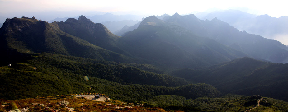 秦岭高山草甸