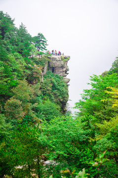 庐山花径悬崖