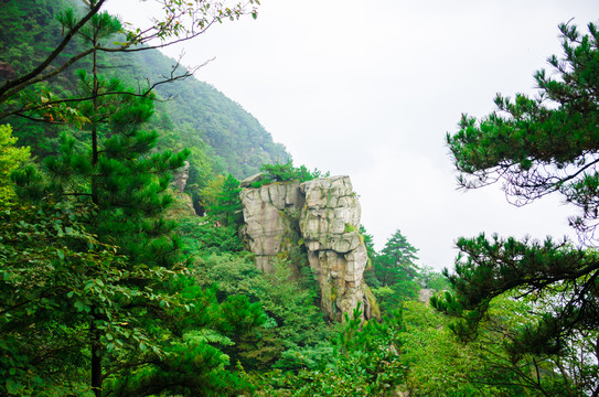 庐山花径山石