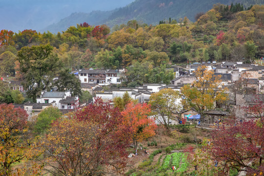 塔川秋色