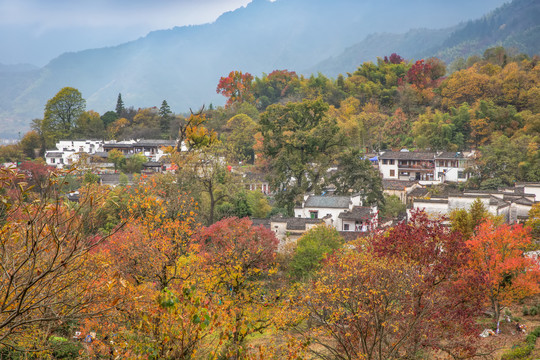 塔川秋色