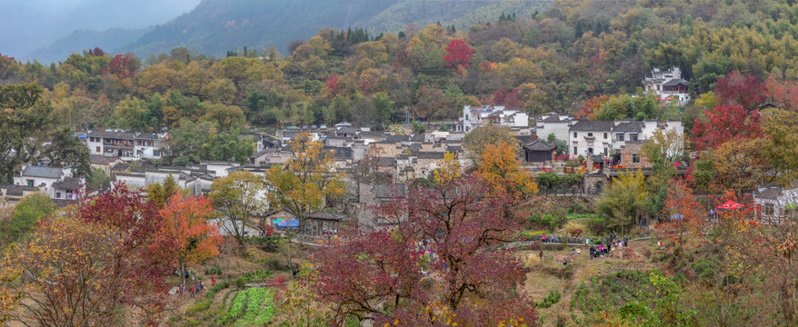 塔川秋色全景图