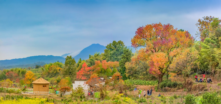 塔川秋色全景图