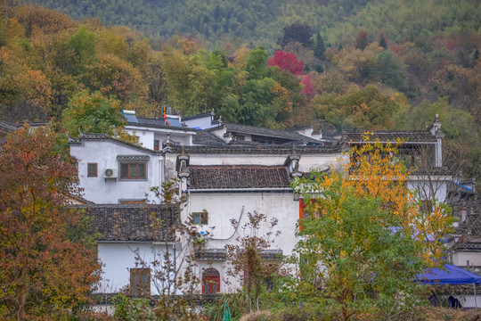 塔川秋色