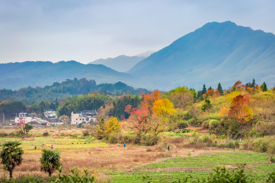 塔川秋色