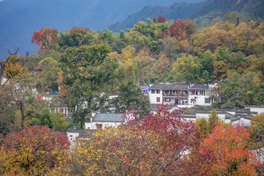 塔川秋色