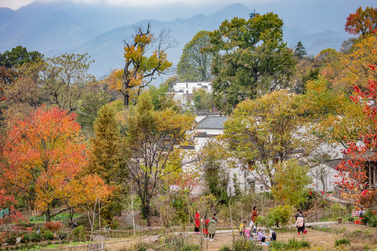 塔川秋色