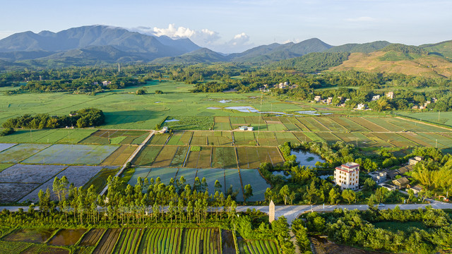 绿色风景