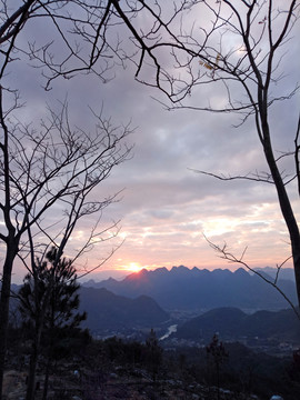 秋天的树日落晚霞夕阳